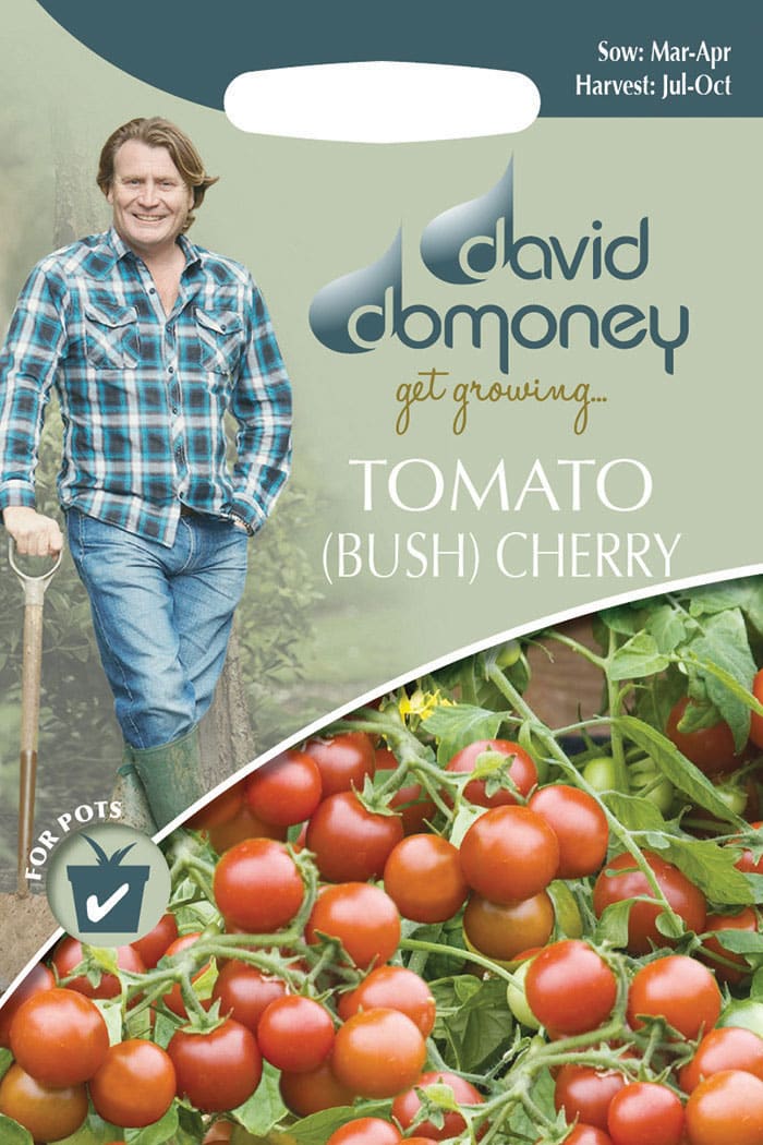 get growing tomato bush