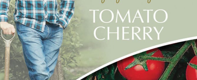 get growing tomato cherry