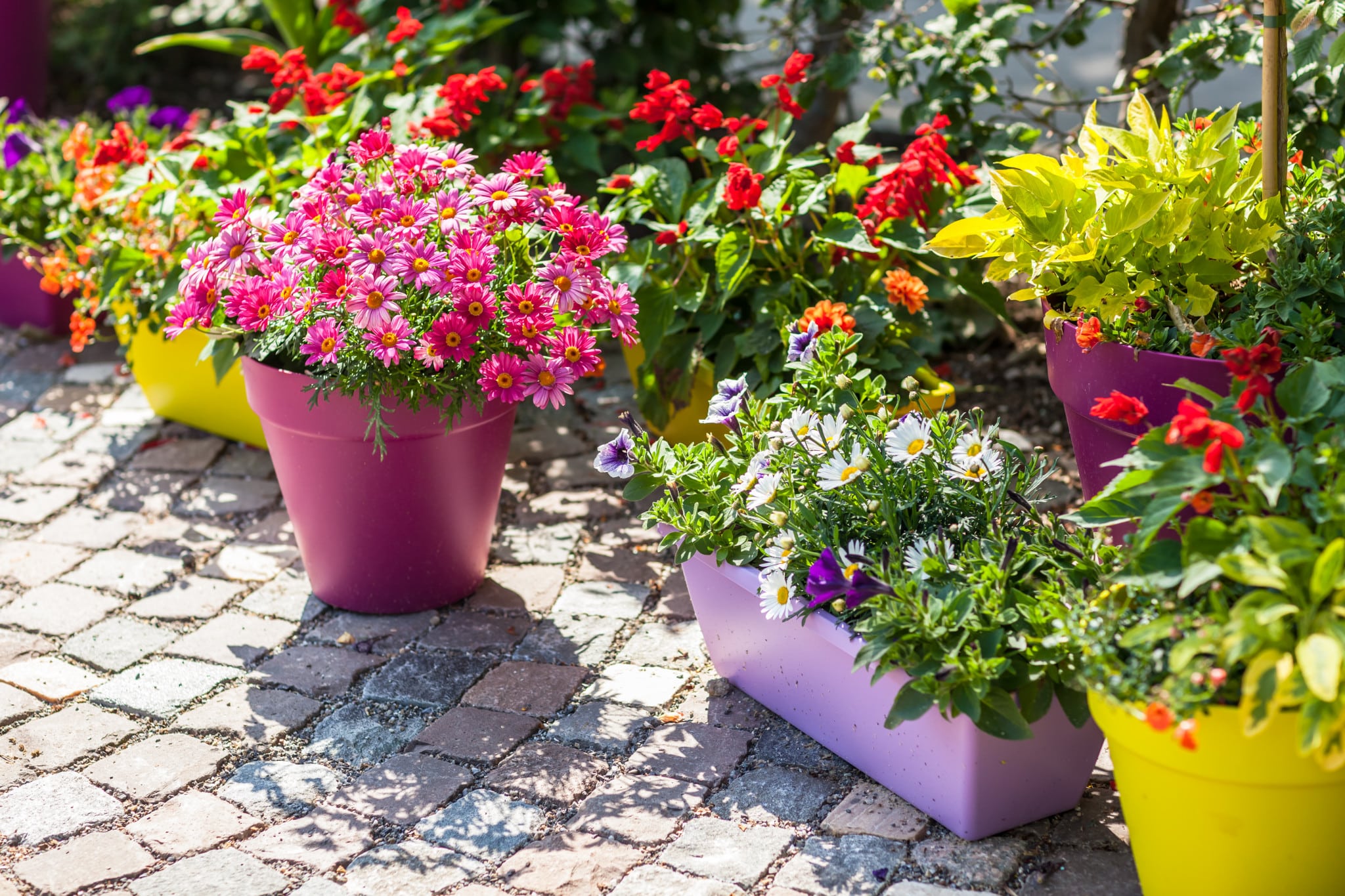 A quick guide to garden pots, planters and containers