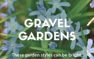 Tpo plants for gravel gardens