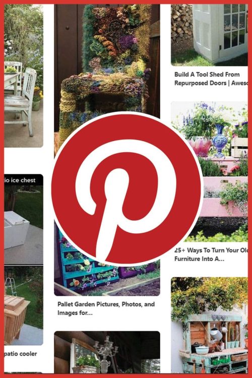 Pinterest flower power