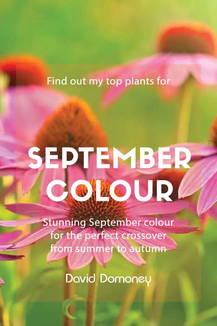 September colour