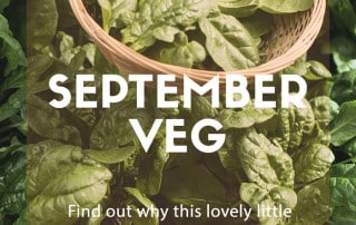 september veg