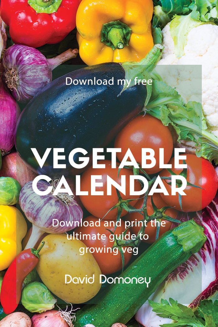 vegetable calendar