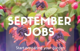 september jobs