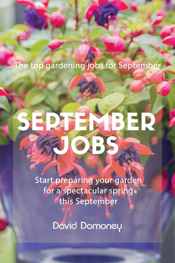 september jobs