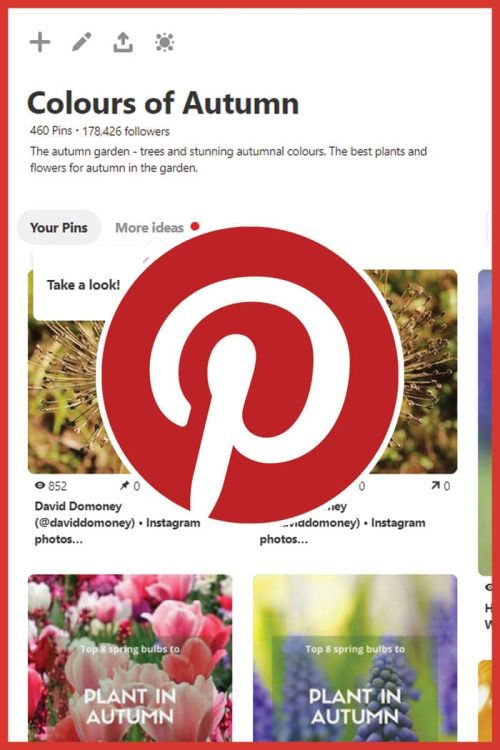 Pinterest flower power