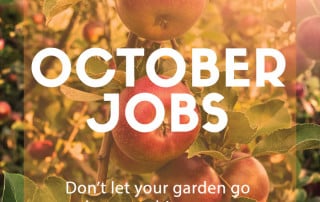 October gardening jobs