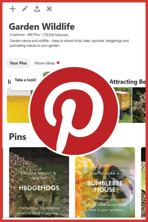 Pinterest