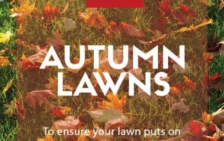 autumn lawns