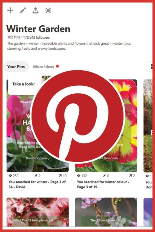 Pinterest flower power