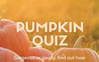 pumpkin quiz