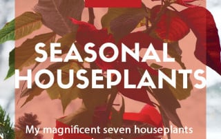 seasonal houseplants