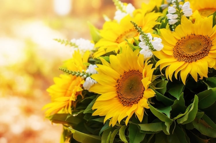 Sunflower arrangement for Valentine's Day