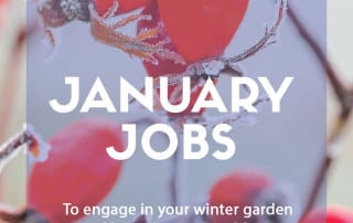 January jobs