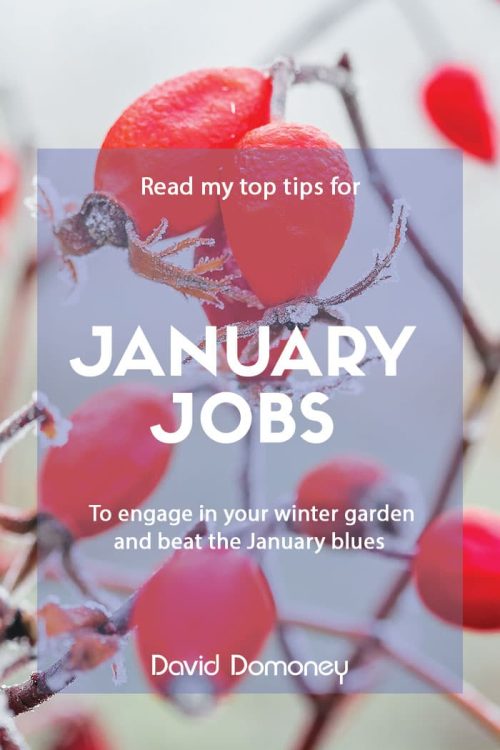 January jobs