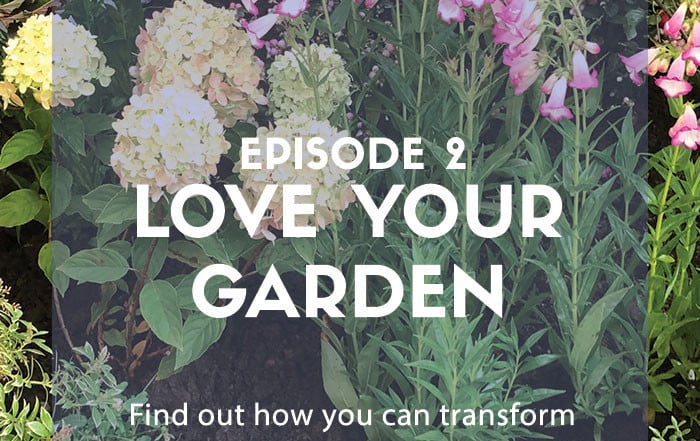 Love Your Garden - David Domoney