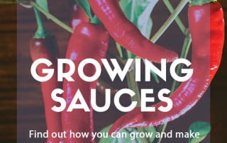 Growing sauces