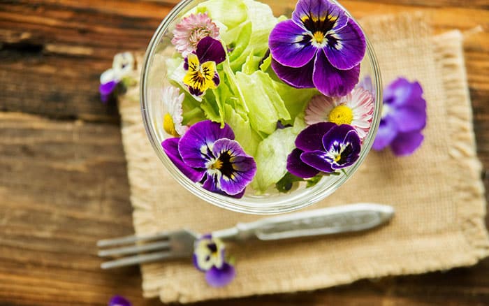 Lavender-sprigs-in-lemon-drink