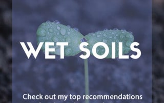 Plants for wet soil