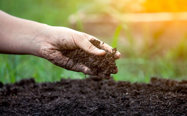 preparing soil for paving