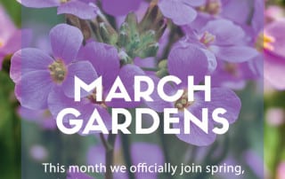 Top plants march