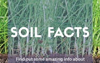 Soil facts