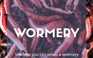 Wormery Compost Week