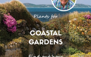 coastal garden feature