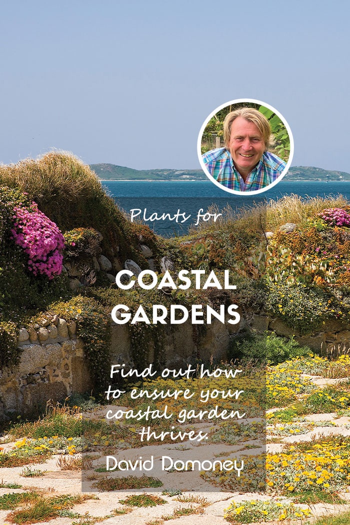 coastal garden feature