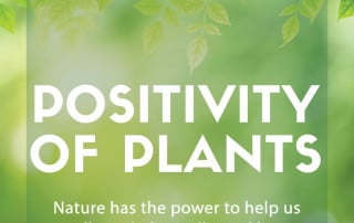 positivity of plants
