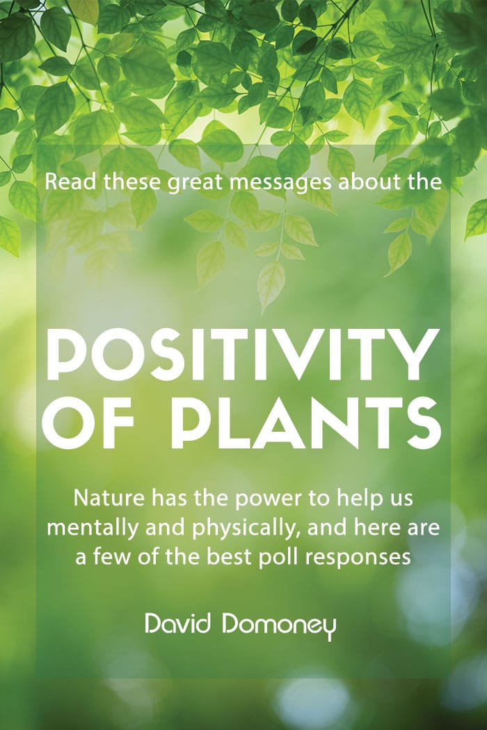positivity of plants