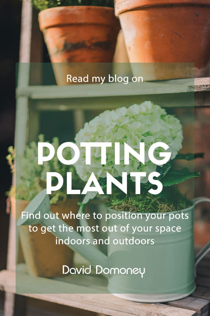 potting plants