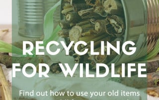 Recycling for wildlife