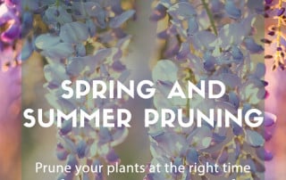 spring summer pruning