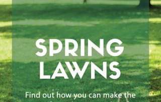 spring lawns