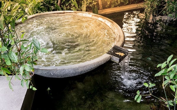 Ideas for water features in your garden - David Domoney