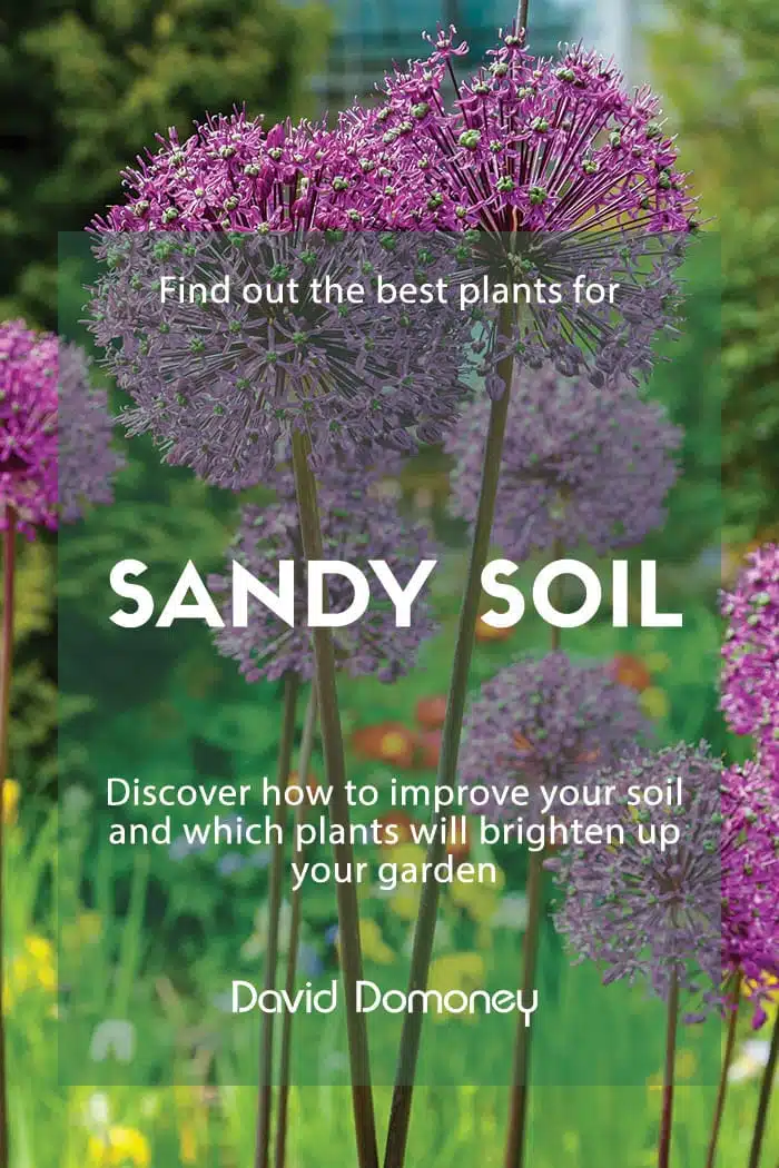 The Best Plants For Sandy Soil David Domoney - How To Improve Sandy Soil For Flower Garden