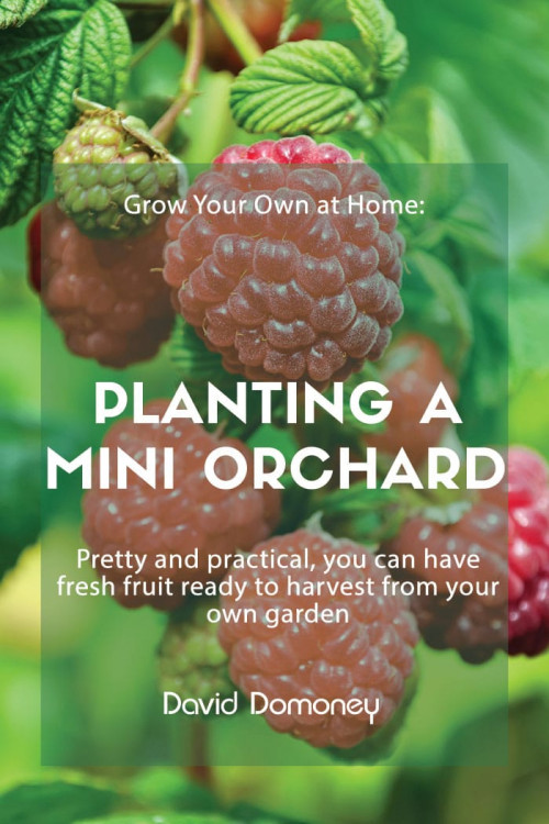 planting mini orchard