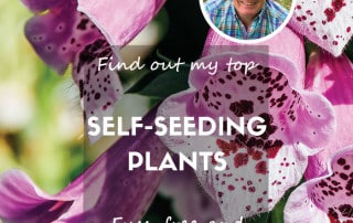 Updated feature self-seeding