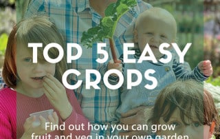 grow your own at home easy crops