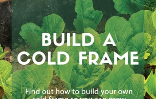 Grow your own at home cold frame