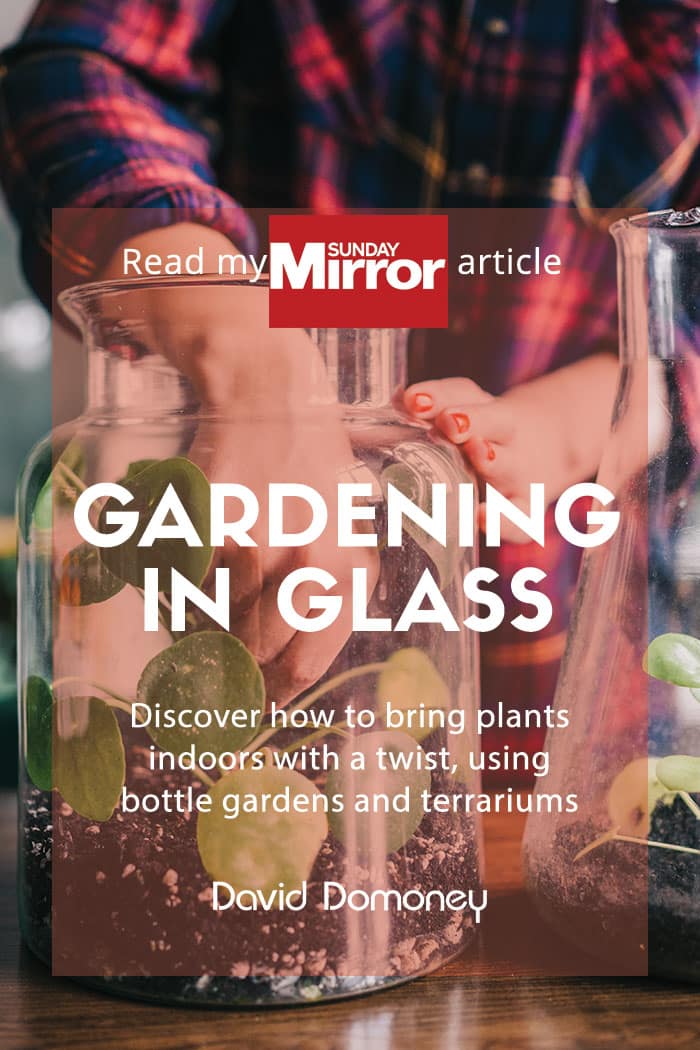 Gardening in glass