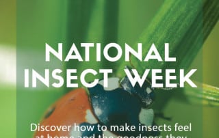 National Insect Week