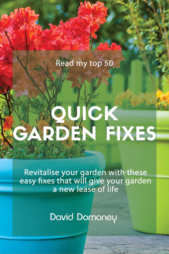 Easy ideas: 50 quick fixes for the garden this spring