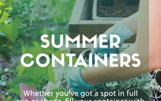 Summer containers feature