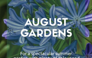 top plants august