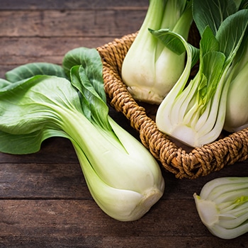 freshly picked pak choi