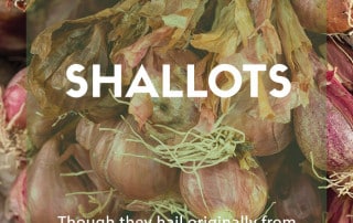 Grow Your Own Shallots Feature