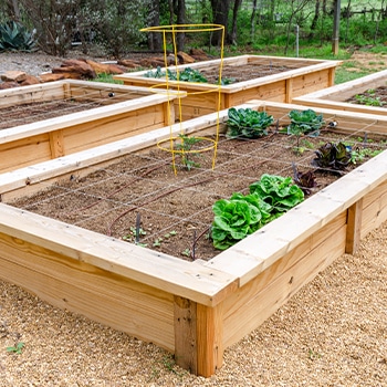 Raised garden beds